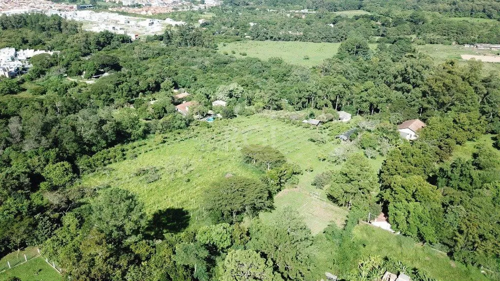 Sítio, 2 quartos, 12113 m² - Foto 6