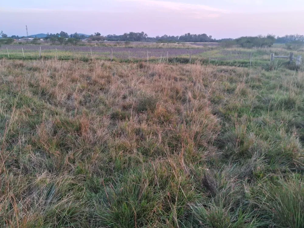 Depósito-Galpão, 1 m² - Foto 6