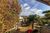 Casa, 4 quartos, 466 m² - Foto 4