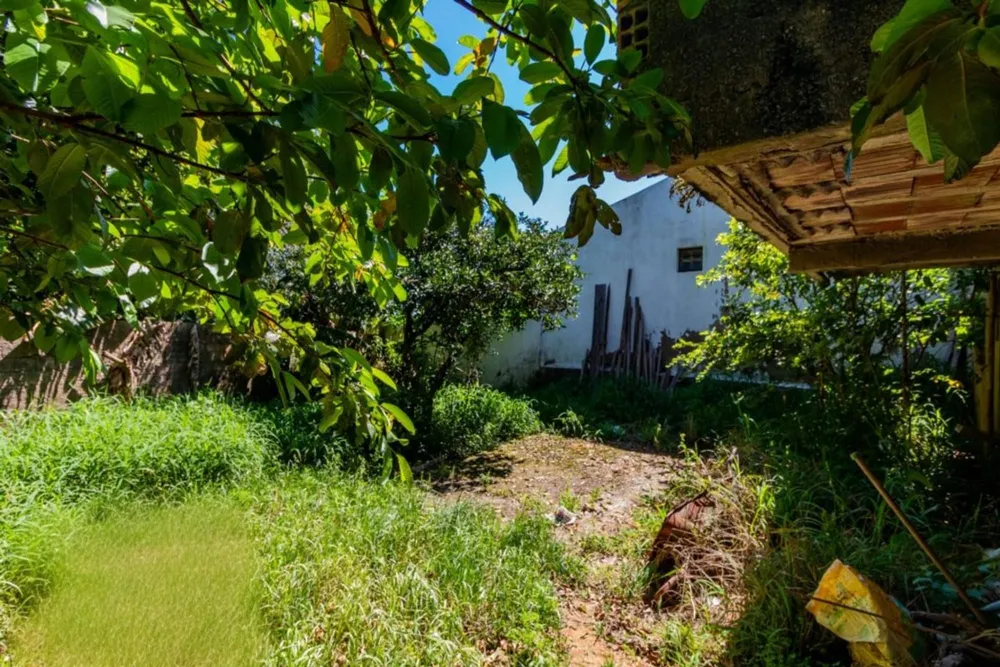Casa, 3 quartos, 373 m² - Foto 5