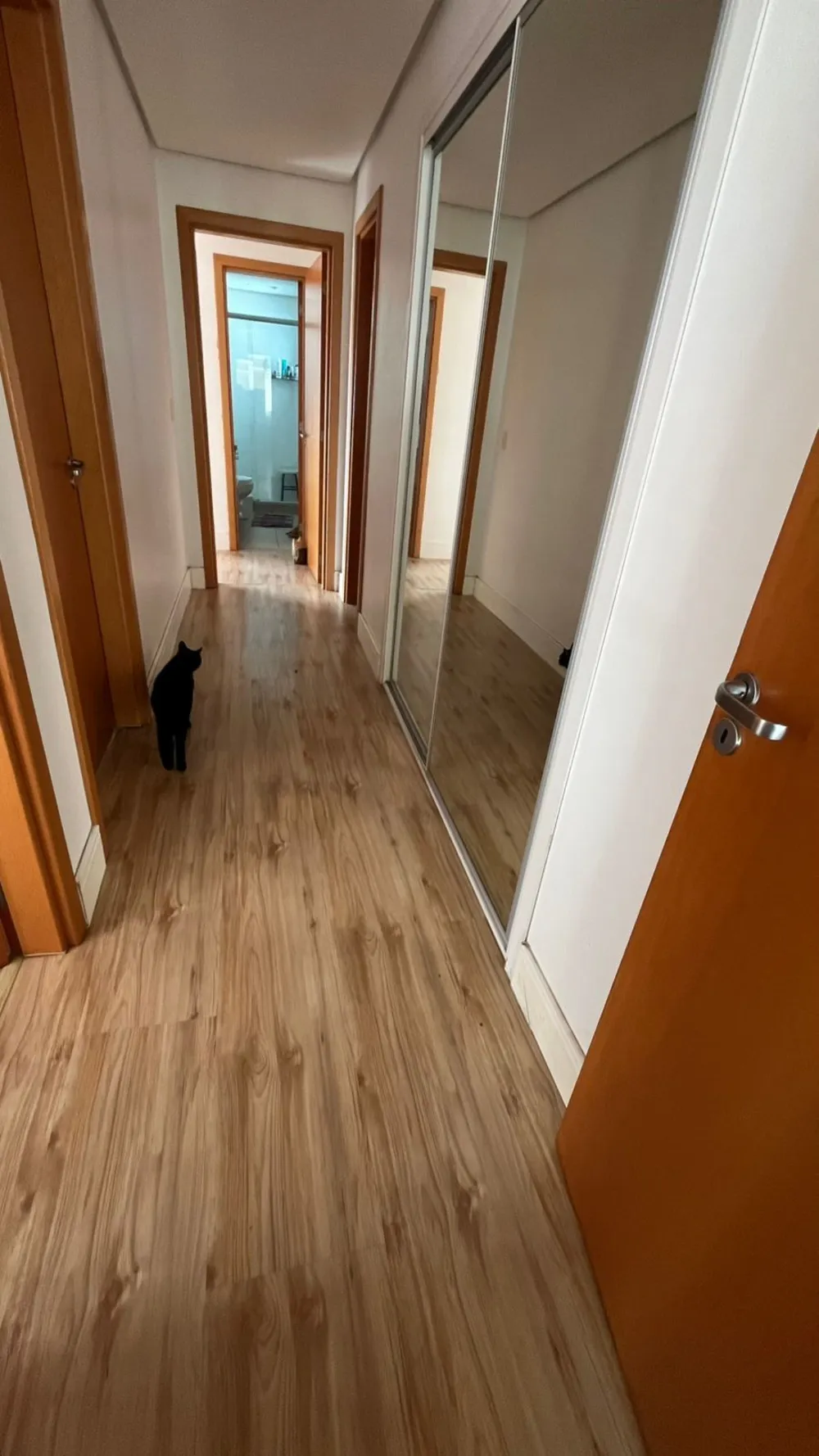Apartamento, 3 quartos, 103 m² - Foto 1