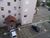 Apartamento, 2 quartos, 64 m² - Foto 4