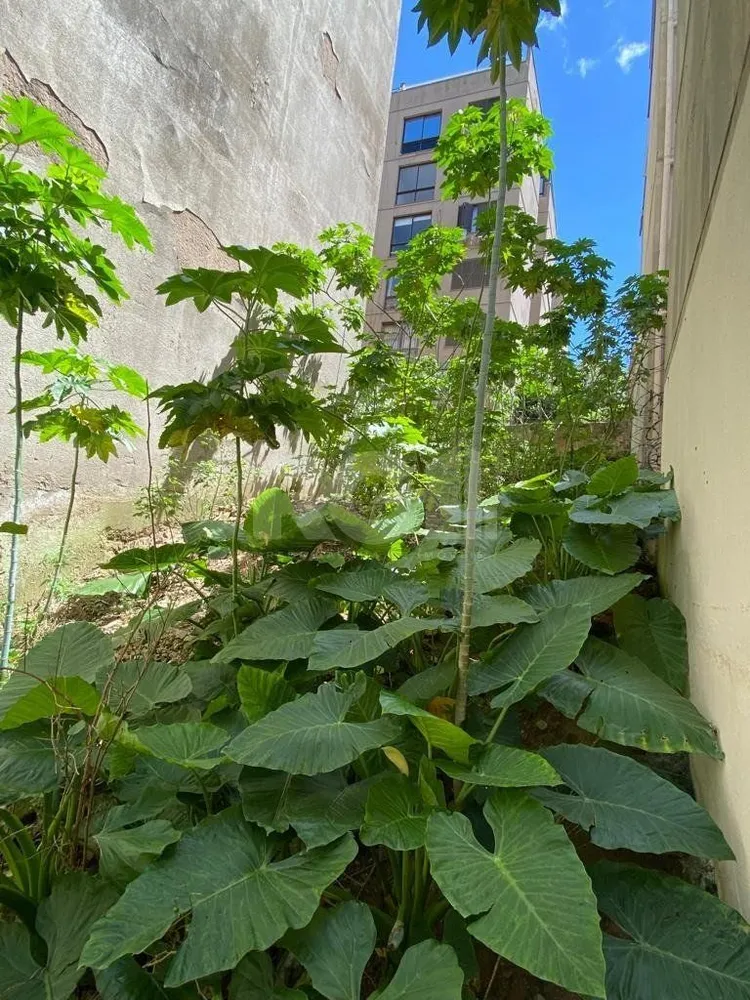 Terreno, 216 m² - Foto 5