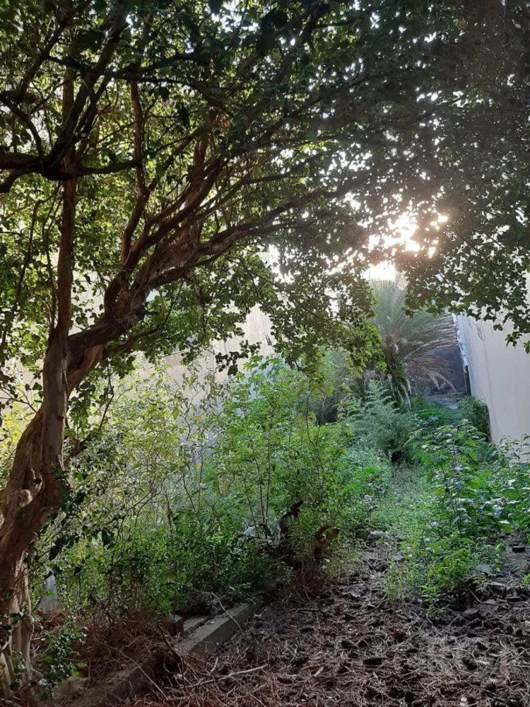 Terreno, 216 m² - Foto 2