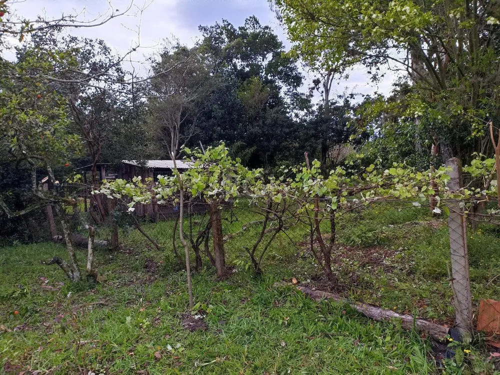 Casa, 2 quartos, 287 m² - Foto 9