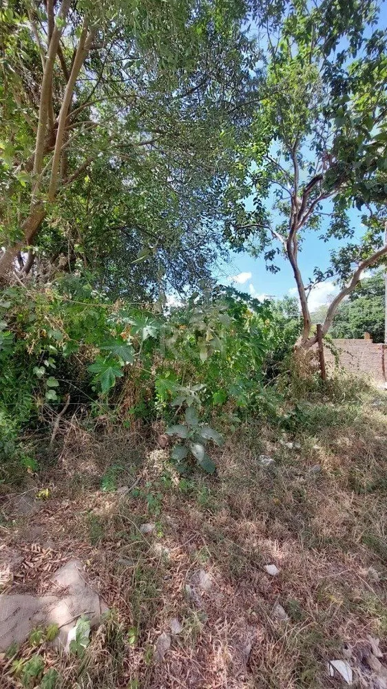 Terreno, 262 m² - Foto 1