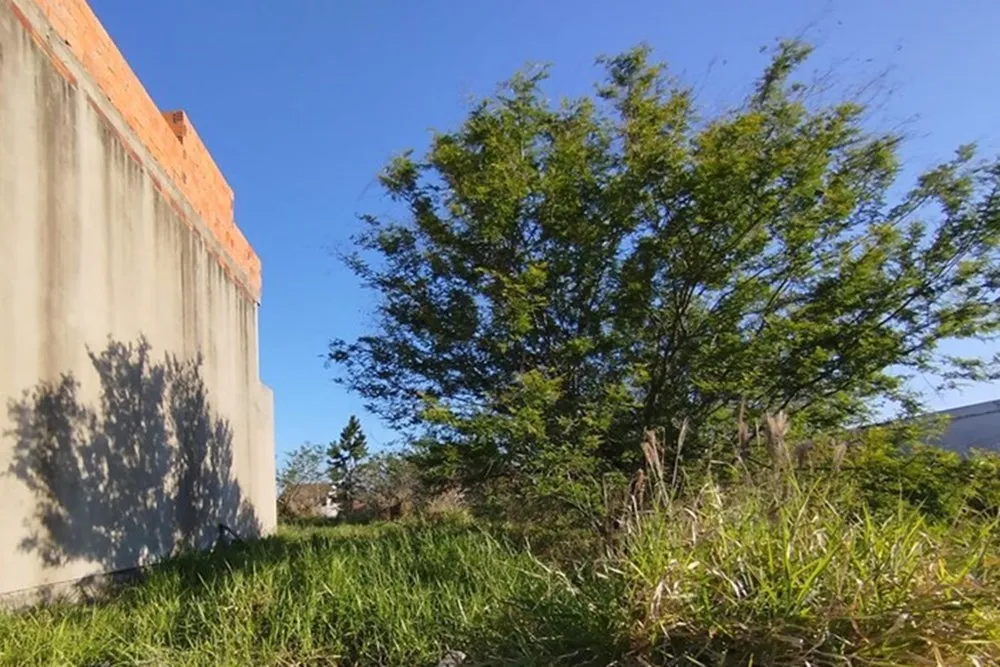 Terreno, 199 m² - Foto 1