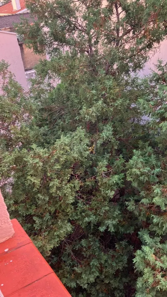 Apartamento, 2 quartos, 66 m² - Foto 7