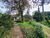 Terreno, 5333 m² - Foto 2