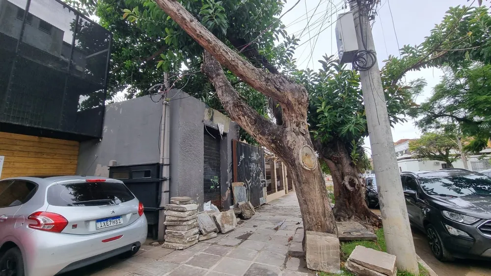 Terreno, 218 m² - Foto 4