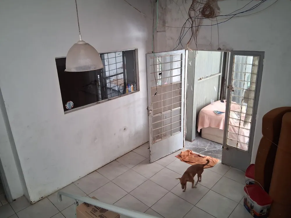 Casa, 3 quartos, 349 m² - Foto 1