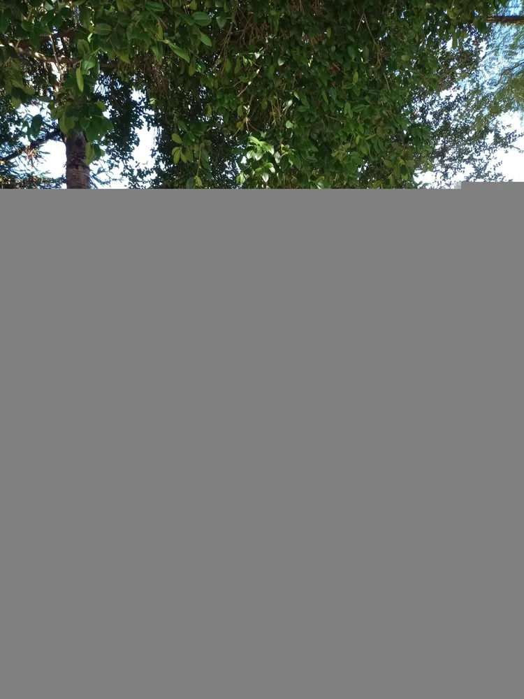 Apartamento, 1 quarto, 46 m² - Foto 3