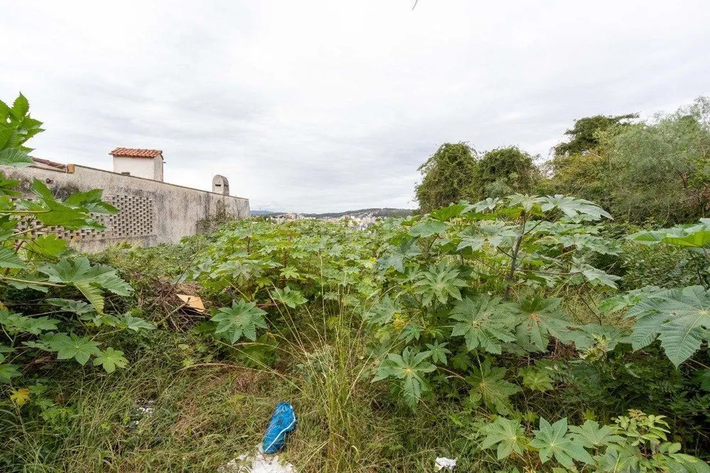 Terreno, 905 m² - Foto 3