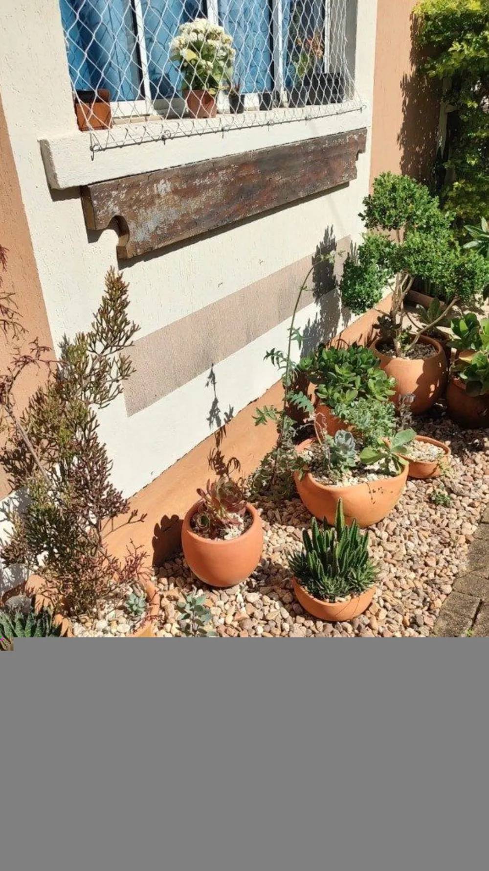 Casa, 4 quartos, 329 m² - Foto 3