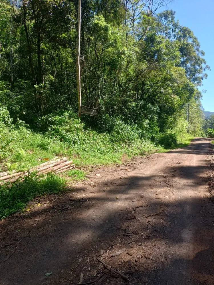 Terreno, 8 hectares - Foto 6