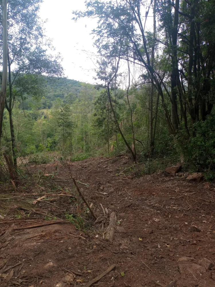 Terreno, 8 hectares - Foto 7