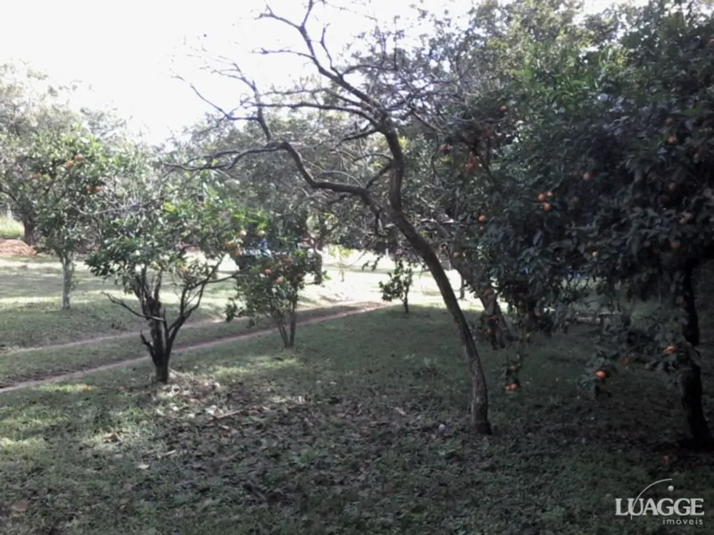 Terreno, 2461 m² - Foto 1