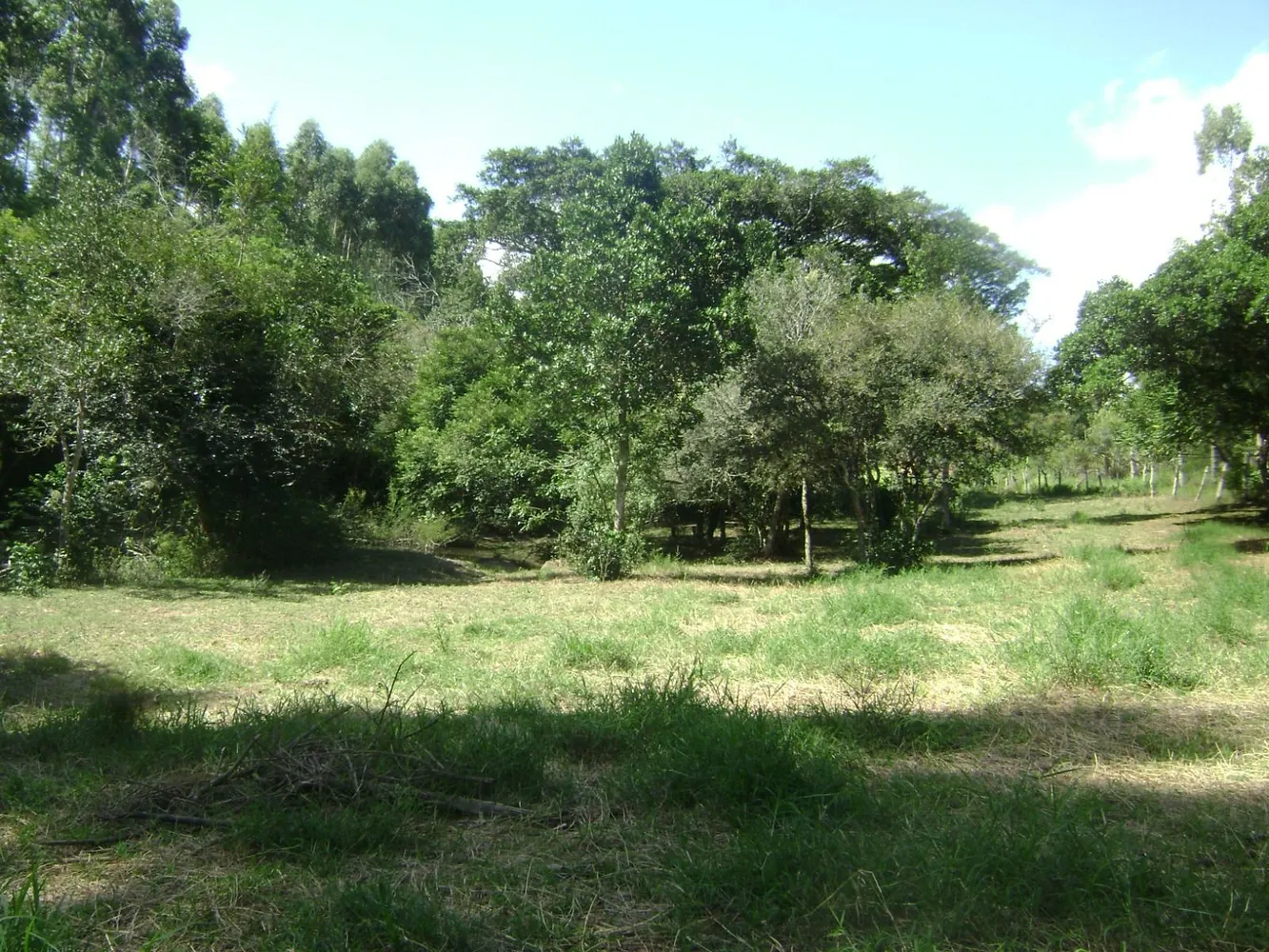 Sítio, 4 quartos, 141 m² - Foto 1