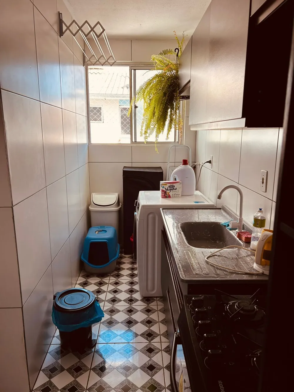 Casa, 4 quartos, 301 m² - Foto 3