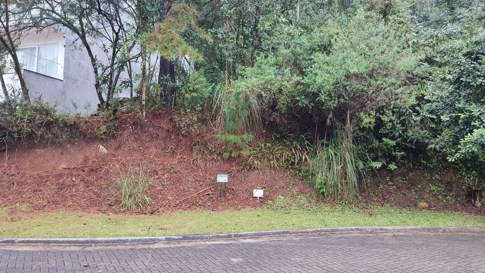 Terreno, 502 m² - Foto 7