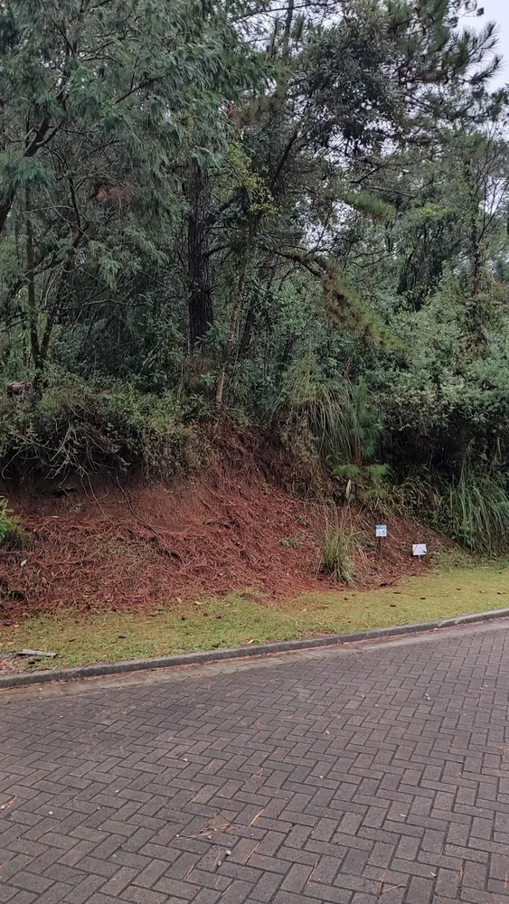 Terreno, 502 m² - Foto 8