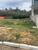 Terreno, 296 m² - Foto 3