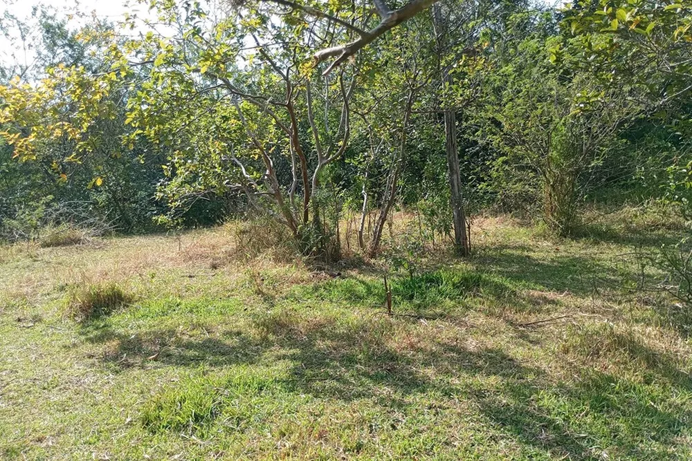 Sítio, 44076 m² - Foto 2