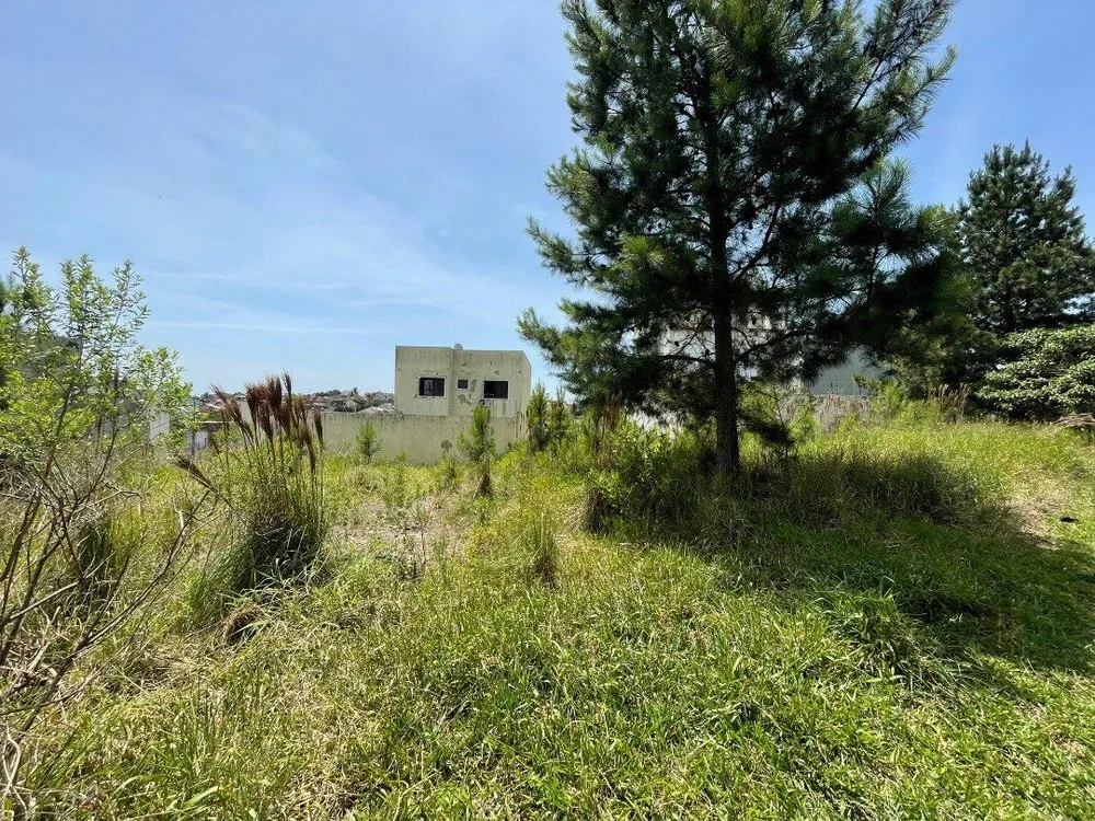 Terreno, 331 m² - Foto 4