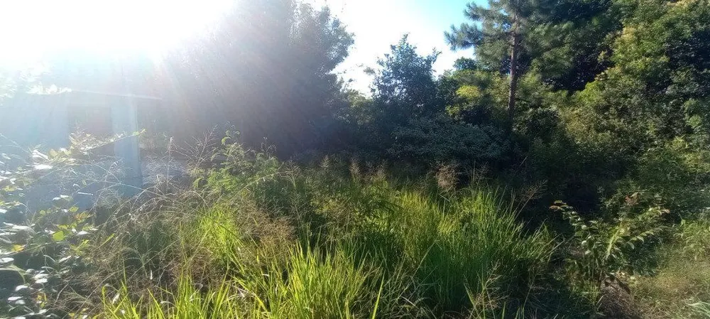 Terreno, 654 m² - Foto 3