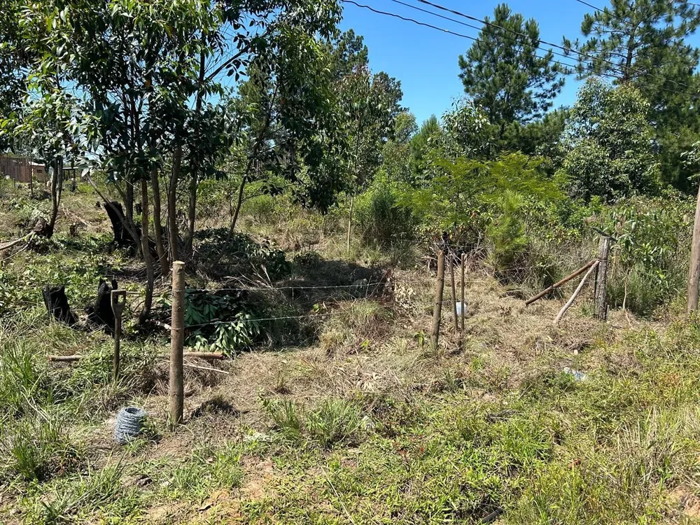 Terreno, 617 m² - Foto 3
