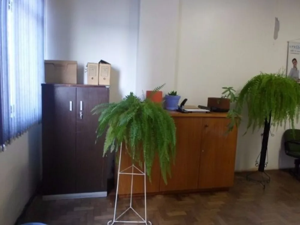 Sala-Conjunto, 41 m² - Foto 2