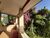 Terreno, 3801 m² - Foto 2