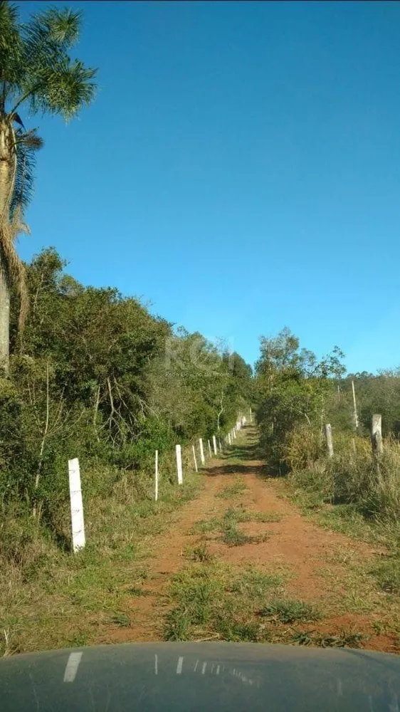 Sítio, 1 quarto, 5 hectares - Foto 6