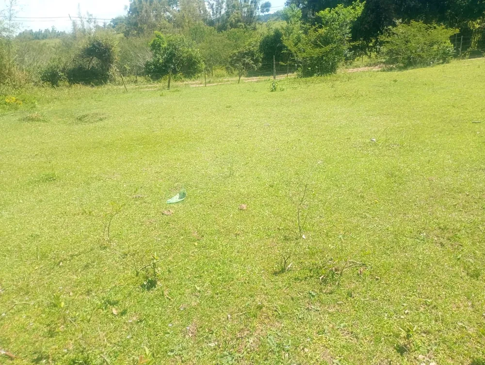 Sítio, 3929 m² - Foto 1