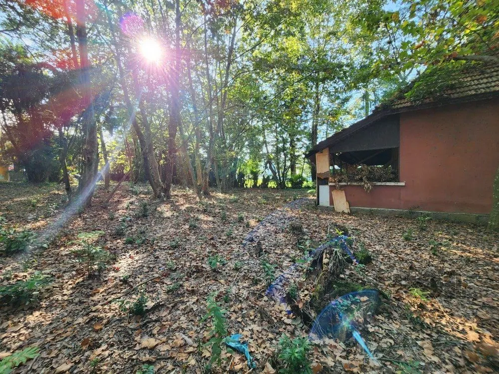 Casa, 3 quartos, 251 m² - Foto 2
