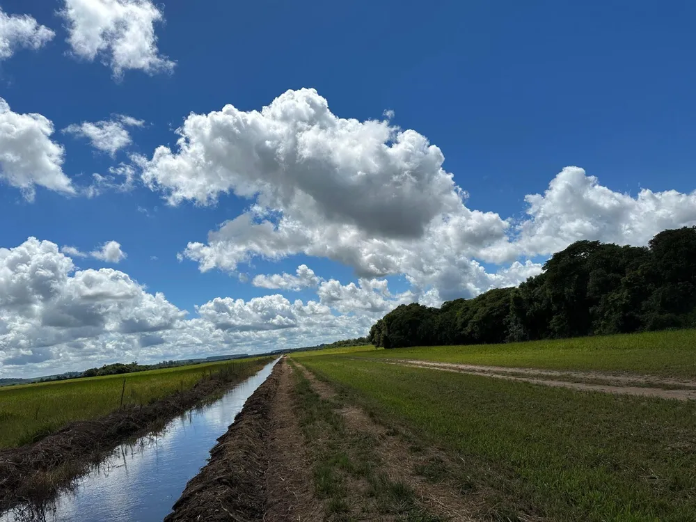 Fazenda, 1 m² - Foto 6
