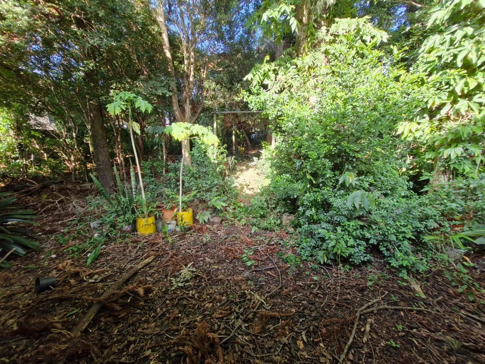 Terreno, 1462 m² - Foto 6
