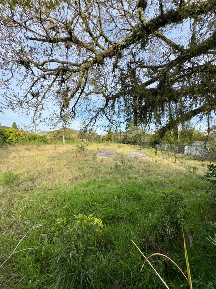 Terreno, 6950 m² - Foto 4