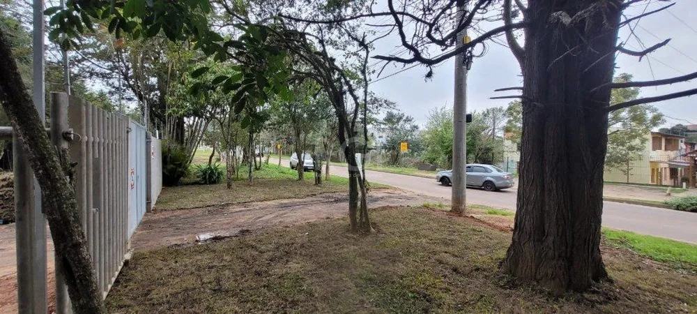 Apartamento, 1 quarto, 31 m² - Foto 3