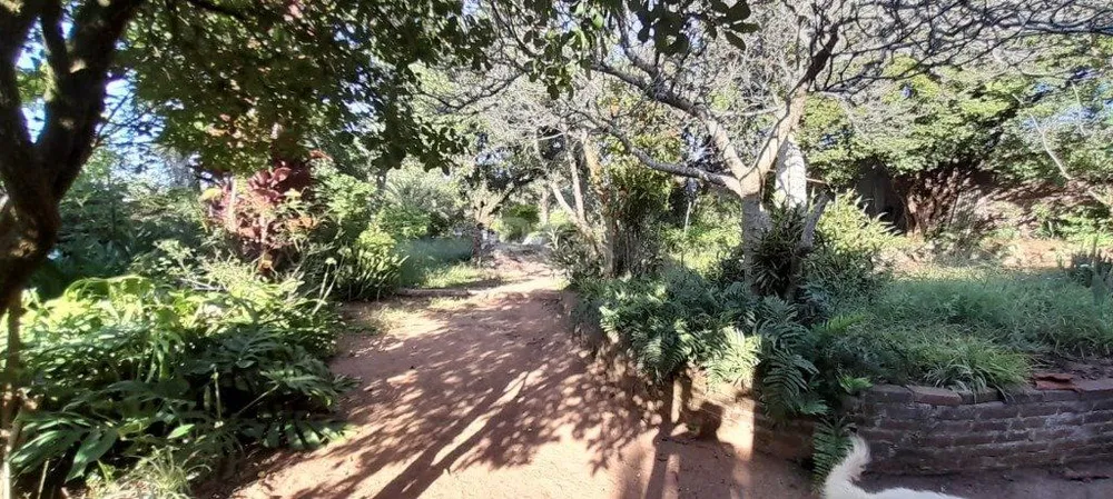 Terreno, 566 m² - Foto 7