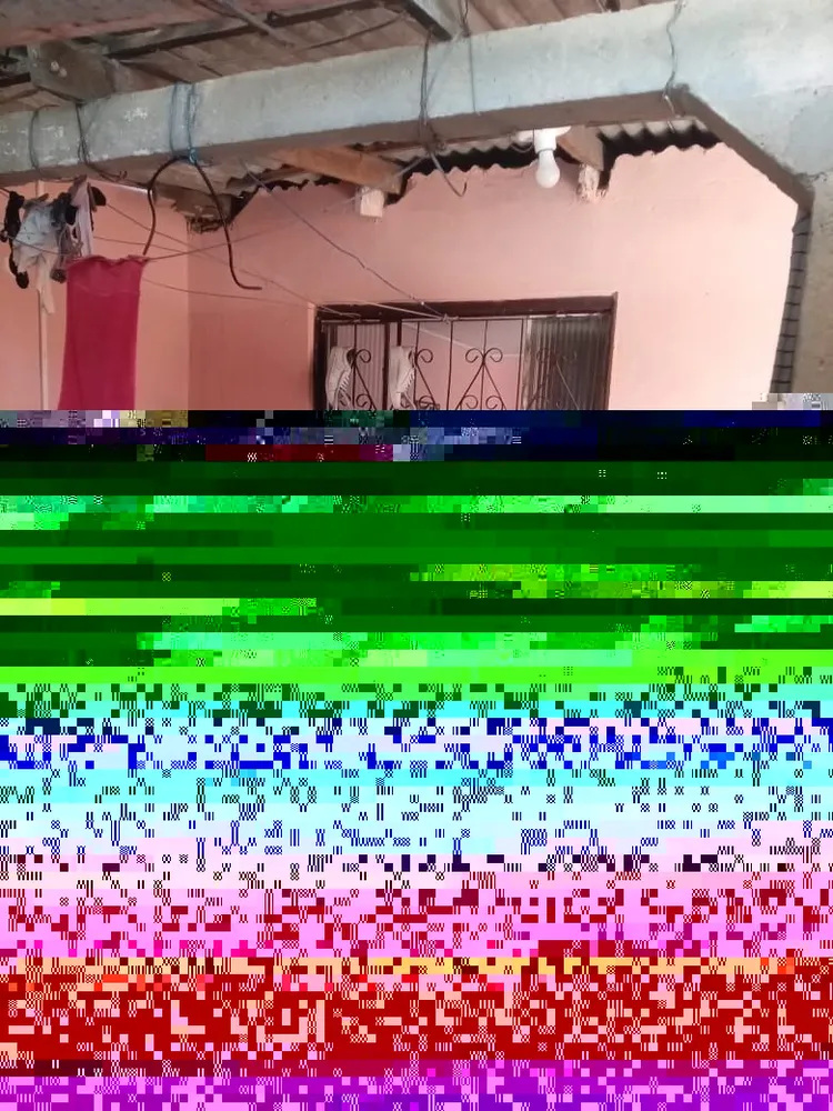 Casa, 4 quartos, 200 m² - Foto 5