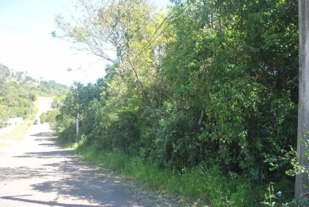 Terreno, 2612 m² - Foto 5