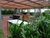 Apartamento, 1 quarto, 52 m² - Foto 3