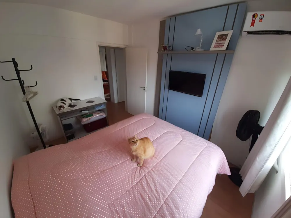 Cobertura, 2 quartos, 103 m² - Foto 6