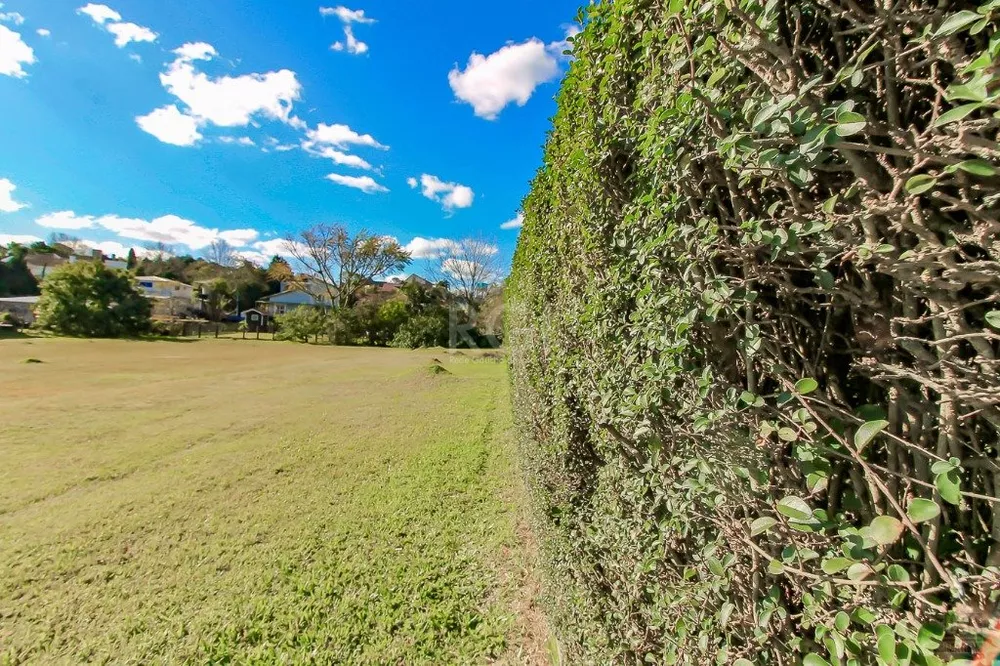 Terreno à venda, 2330m² - Foto 6