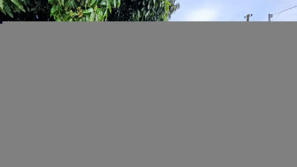 Apartamento, 1 quarto, 99 m² - Foto 1