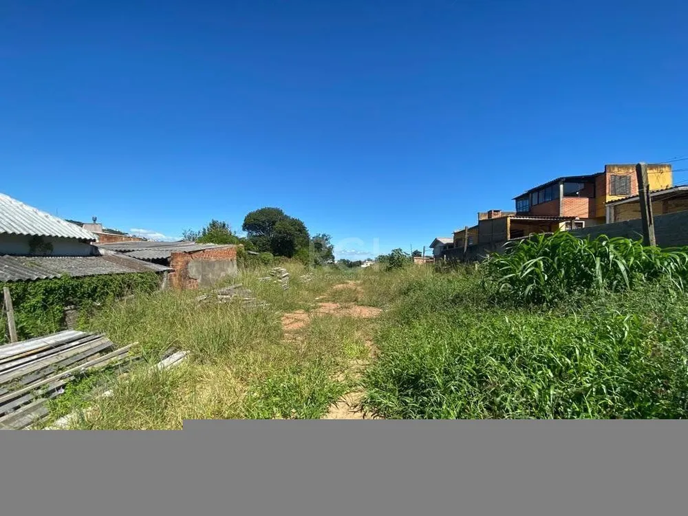 Terreno, 1206 m² - Foto 7