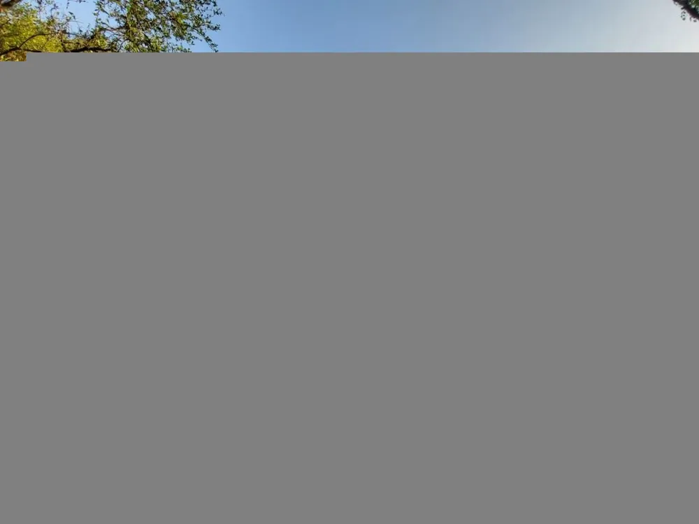 Casa, 3 quartos, 584 m² - Foto 1