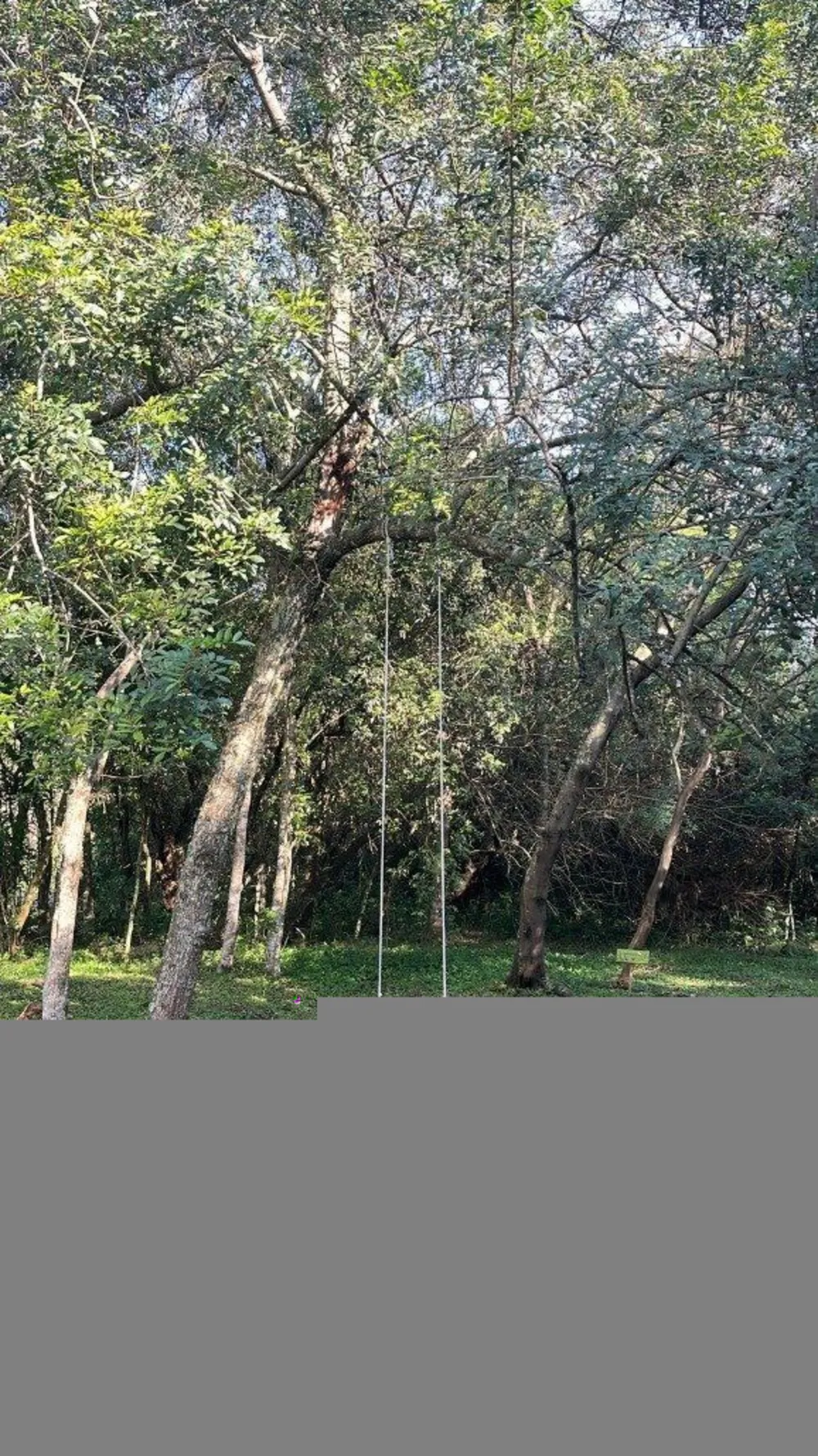 Casa, 3 quartos, 166 m² - Foto 5