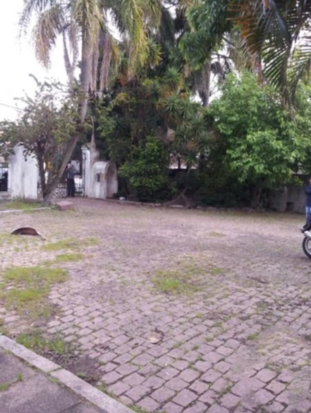 Casa, 4 quartos, 254 m² - Foto 7